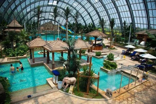 赤黄红·洪湖情 | 2025环洪湖马拉松，跑进水乡新画卷！