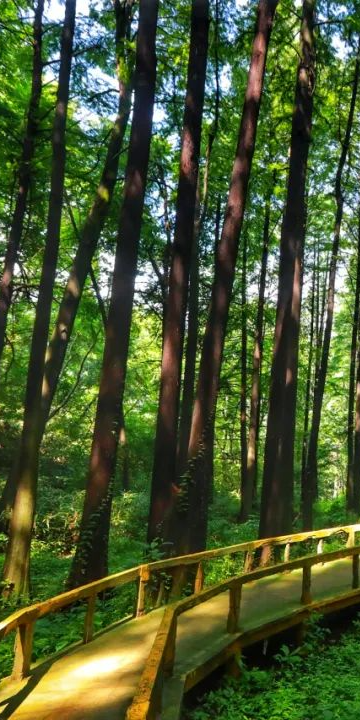 豫见两山 绿色答卷丨生态之旅——打卡“‘豫南明珠’南湾水库”