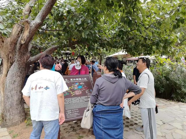 【游蓟攻略】赴梨木台一程秋色，享旅途一路暖心
