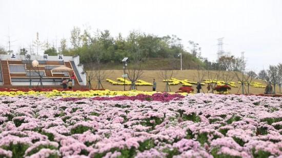 文旅东风正劲，东至何以乘势而起？