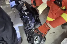 剧毒的眼镜蛇！杭州男子看着它钻进车里，不见了，瞬间慌了图片