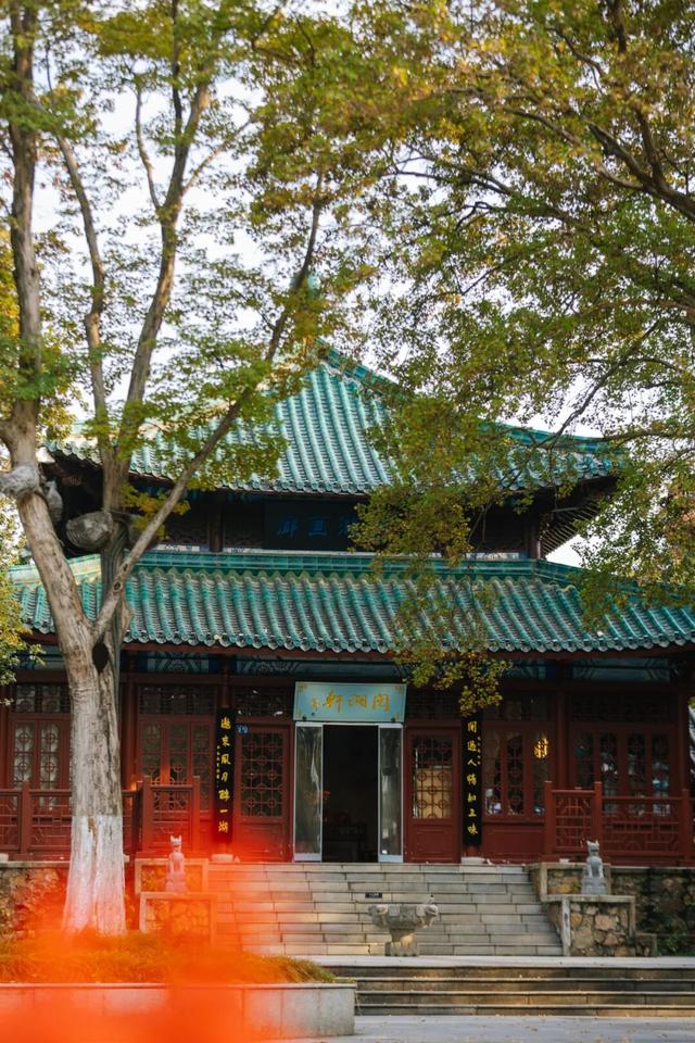 东湖秋日图鉴②｜邂逅听涛，定格秋的独家记忆