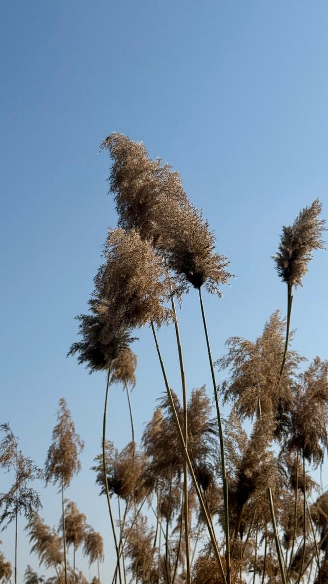 新视界｜莱芜西海公园：汶水西流处 万千气象新