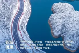 芜湖人，免费！半价！图片