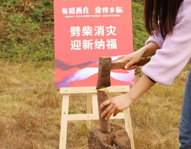 2026 跨年去西充！这场治愈之旅别错过～