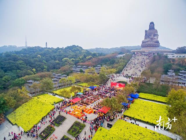 收藏！元旦南海西樵文旅“节目单”来了