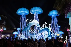 春节来海南，欣赏非遗彩灯“邂逅”现代科技！图片