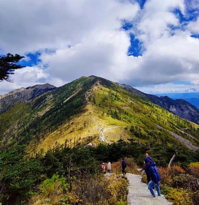 你的周末含“秋”量是多少？来秦岭测测！