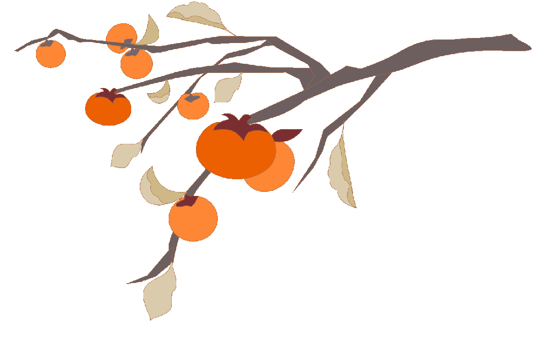 【跟着川超游凉山】川渝山水间 凉山双景传诗意（上）