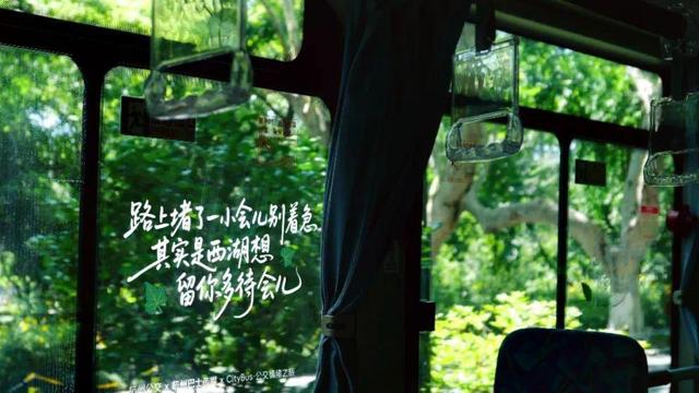 全空调、不费腿，被网友赞为游西湖的正确打开方式，你想试试嘛
