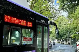 秋意渐浓 杭州公交“上新”满觉陇赏桂出行攻略图片