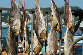 鼻塞、流鼻血？请警惕！这种病50%发生在我国！图片