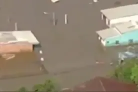 巴西暴雨灾害已致100人死亡，洪水肆虐几乎淹没城市，马匹无路可逃被困在屋顶图片