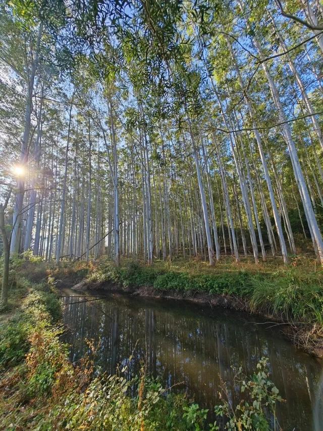 是时候爆火了，这座“天赋异禀”的小山村，来了就想当”新村民”！