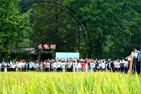多彩民俗庆丰收，2024张家界黄龙洞秋收节激情启幕图片
