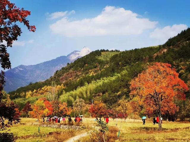 出片率100%！湖北的秋天太卷了