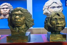世界首次！距今100万年前的古人类长这样图片