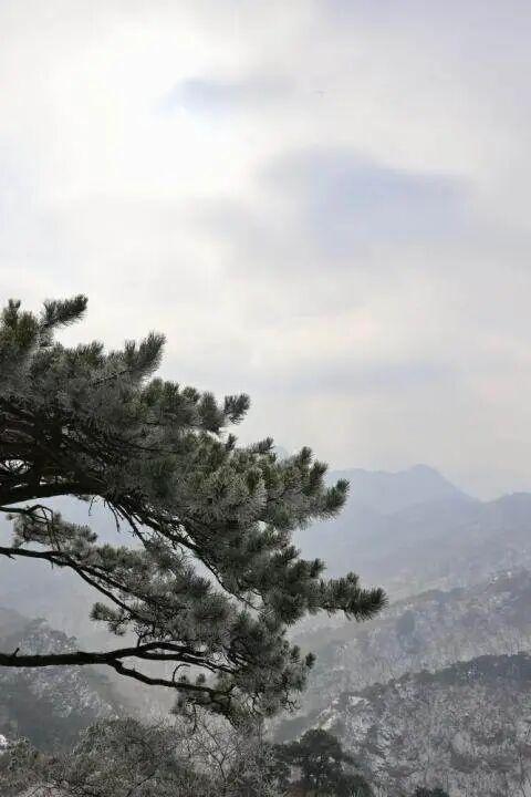 央媒看鞍山｜新华网客户端：辽宁鞍山：冬日胜景揽客来