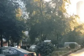 最近组团扎堆的小飞虫是啥？为啥这么多？“咬人”不？专家解答→图片