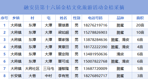 一口金桔甜，解锁融安初冬的N种玩法