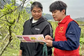 平和供电：田间地头巡线忙 守护满城柚花香图片
