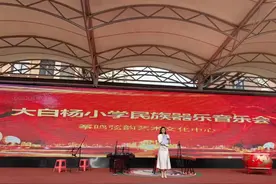 未央区大白杨小学民族器乐音乐会图片