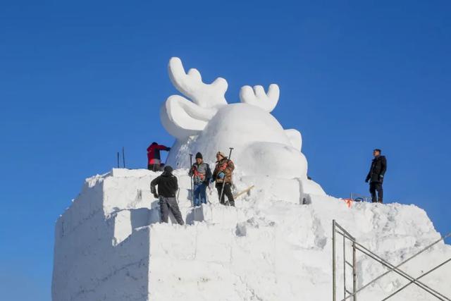 “顶流”扎堆黑龙江!速来贴贴!