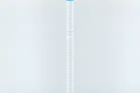 认准！广州发布第二批146个持证校外培训机构名单图片