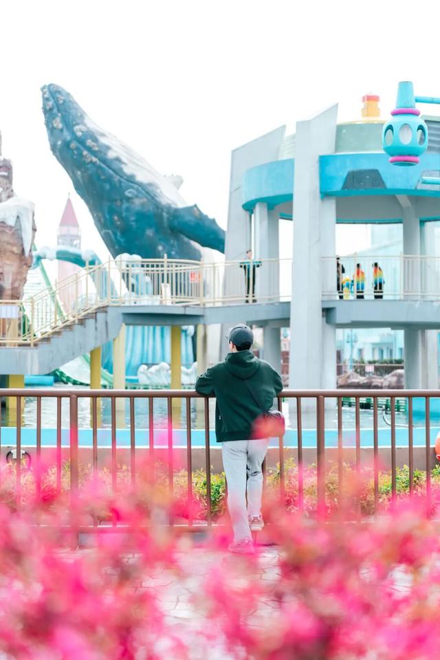 拔节生长，大王山有了新的模样