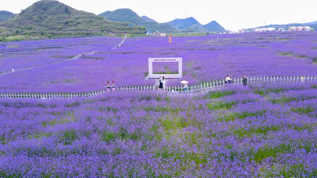“凉”资源变“热”产业！花溪高坡打造避暑新地标一线见闻