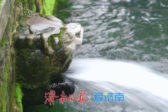 黑虎泉水位今年首次突破29米，较去年提前14天