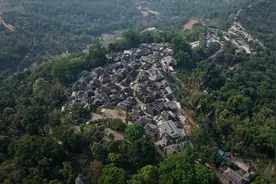 知食丨上春山 觅茶香：云南茶叶图鉴图片