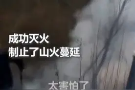 丢烟头可能获刑、雷击火咋逃生，踏春进山应急部给出自救指南图片