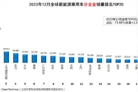 全球新能源汽车销量排名(2023年12月)：全年终结版出炉，看不尽的“比特”大战，瞅不完的“毛豆”传图片