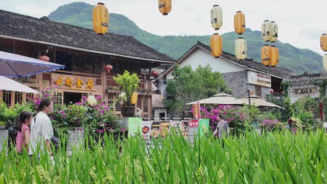 贵州铜仁：梵净山下“点绿成金” 生态旅游绘就“诗与远方”