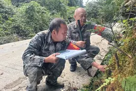 护林员彭针林的37年巡山路图片