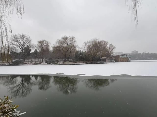 京城初雪！一大波雪景美图来了