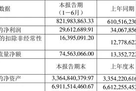 好当家：2023年上半年净利润2961.27万元 同比下降13.08%图片