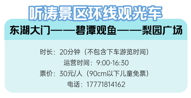 经典！人气！最新！一天玩遍东湖精华景点