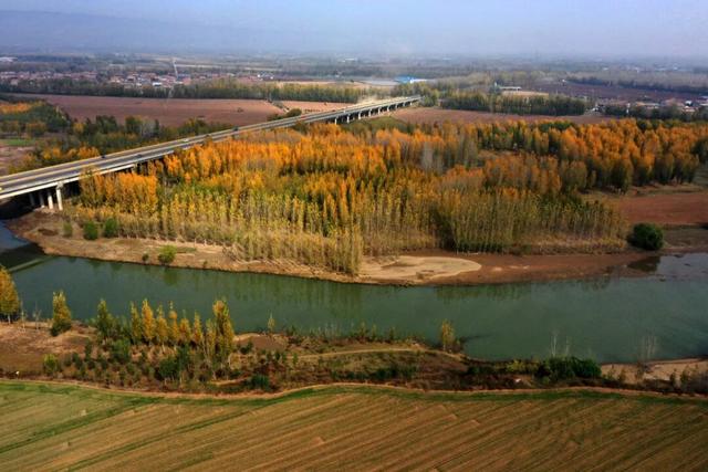 限定初冬美景！就在河南沁阳→