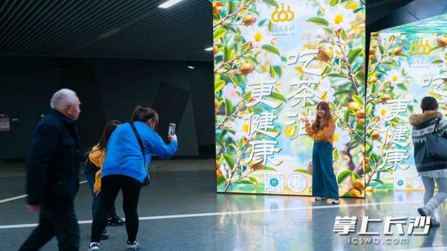 油茶花海“开进”地铁站！湖南茶油“真香市集”火热开启
