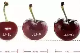 价格已腰斩！春节前大量到货，商家喊话：别急，还能降图片