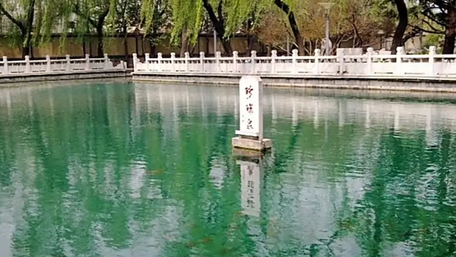 双节至 珠泉涌——安阳水冶珍珠泉的秋日团圆画