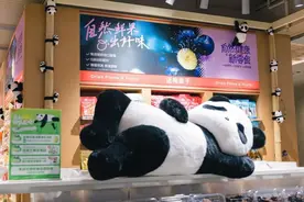 熊猫“萌兰”带货，良品铺子助力云南笋农增收超千万图片