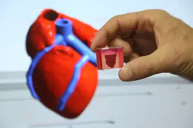 3D打印干细胞或可修复脑损伤图片