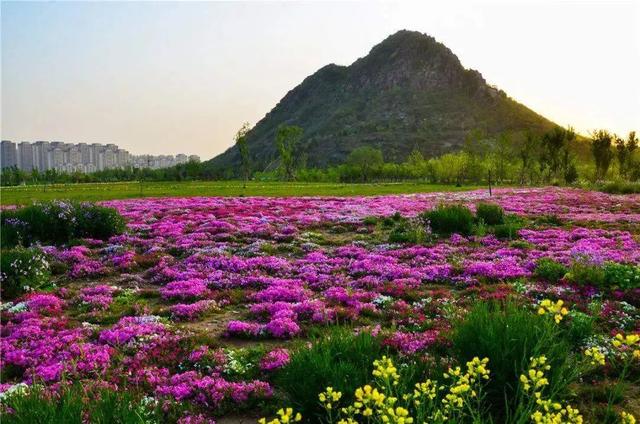 从李贺诗句到济南千年胜景