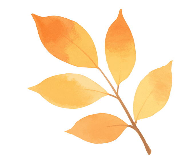 怎么能错过秦淮的秋天呢？