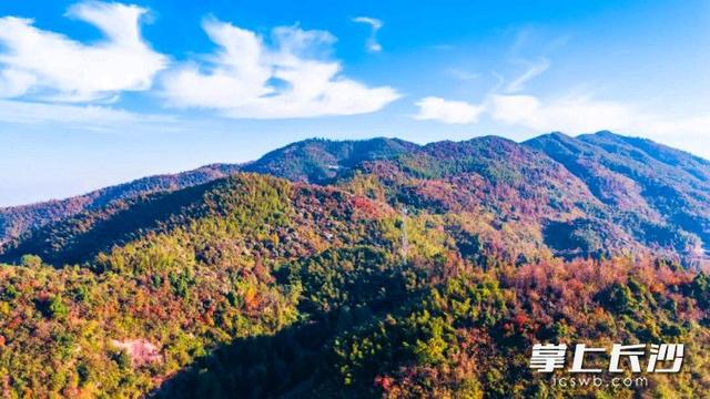祥云山打翻了大自然的调色板，层林尽染等你来打卡