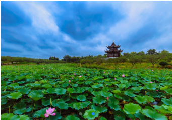 16+6，“走进申海”带你逛遍魔都海岸线