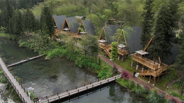 四川荥经：用执着守护成就大熊猫的诗画家园